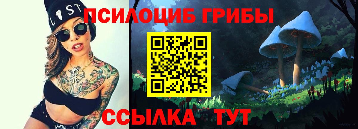 Псилоцибиновые грибы Psilocybe  Вход с VPN  Псилоцибиновые грибы мухоморы  Ишим 